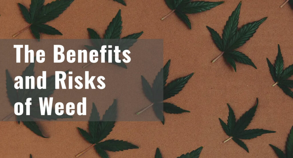 6 Health Benefits of CBD Oil and Potential Side Effects The Benefits and Risks of Weed
