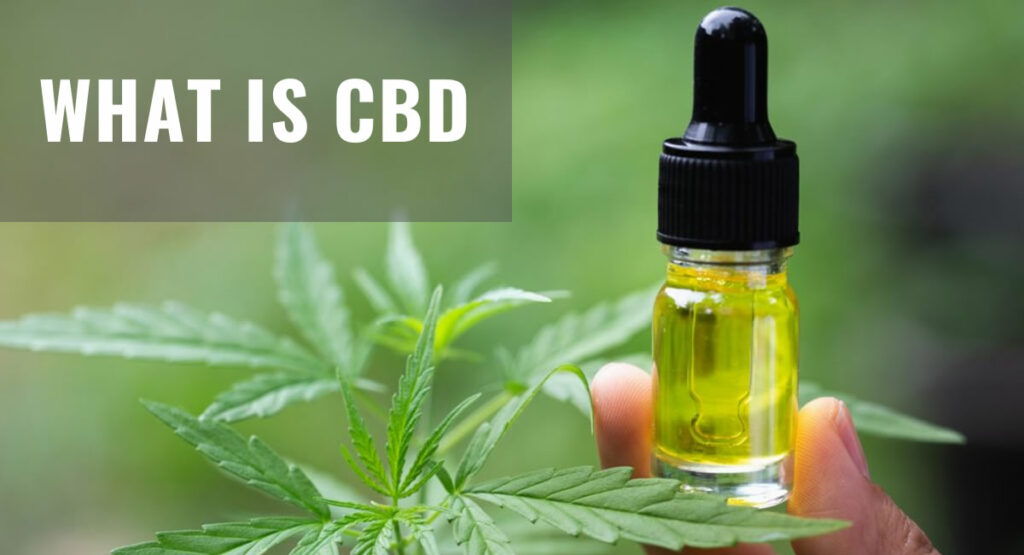 What is CBD And What are the Health Benifits of It what is cbd and benifits