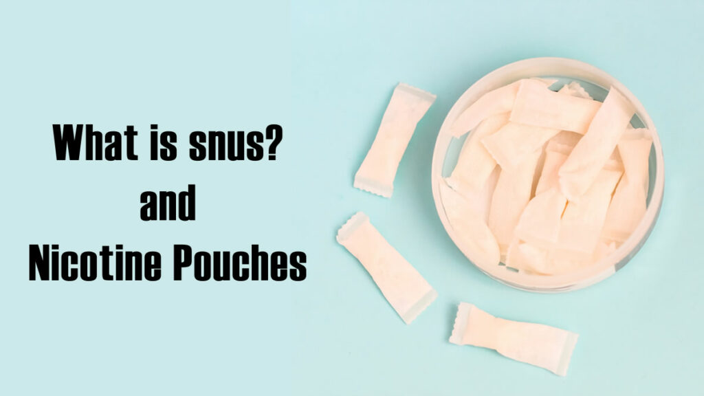 snus nicotine pouches