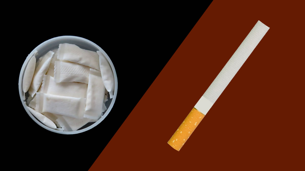 Nicotine Pouches vs Cigarette