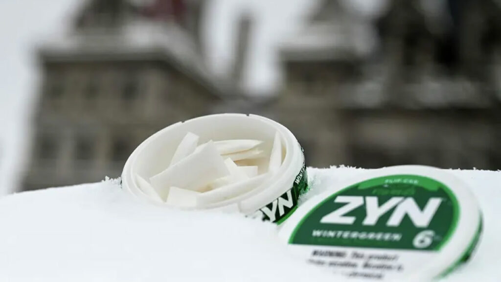 NY Tax Proposal: Hochul Targets ZYN with 75% Levy ZYN Tax New York, Kathy Hochul Tobacco Tax