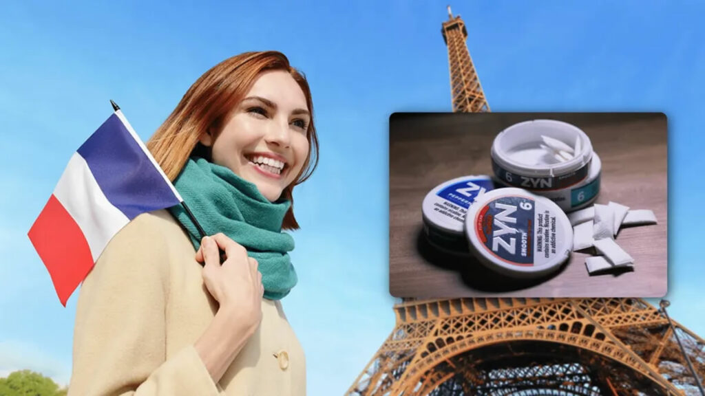 France Zyn ban, nicotine pouches France